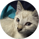 Eduardo Mata profile picture